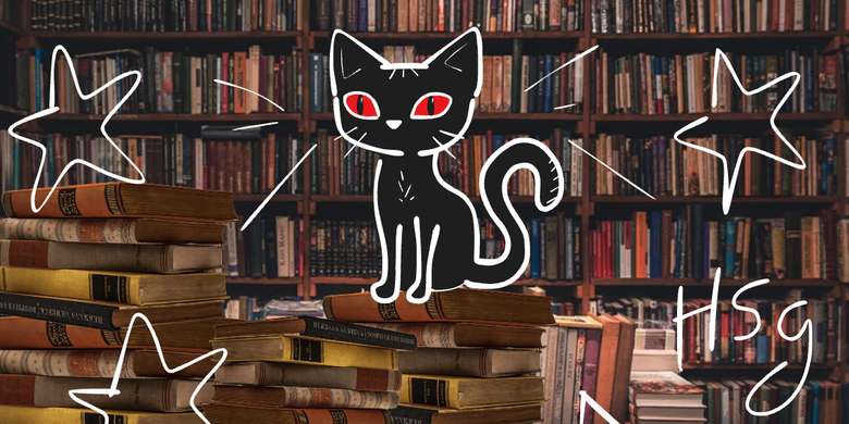 Un gato negro dibujado sobre una pila de libros. Hay estrellas y las siglos "HSG" escritas en blanco.